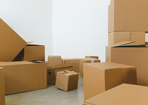 WordPress hosting Helmond